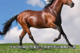 马儿腾飞,财运在握!生肖马下周财运爆棚,事业红火,桃花运旺视频封面