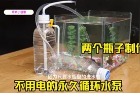 两个瓶子制作不用电的永动循环水泵，鱼缸一年省下不少电费