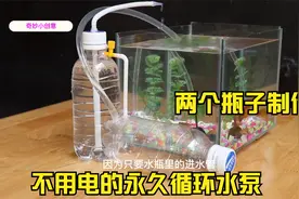 两个瓶子制作不用电的永动循环水泵，鱼缸一年省下不少电费视频封面