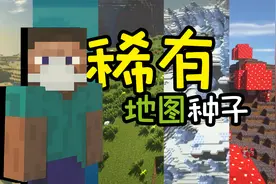 我的世界收异录21：超稀有地图种子！建议直接收藏