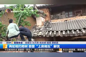 两蛇相约爬树 森警“上房揭瓦”解忧