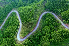 航拍辽宁清原县至新宾县盘山路，四面苍松翠绿蜿蜒起伏，好看极了