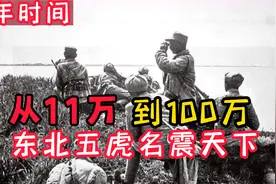 不愧是“东北五虎”，3年从11万到100万，东北野战军实力太强视频封面