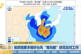 局部阵风11级！山东下发通知：做好台风“南玛都”防范应对工作视频封面