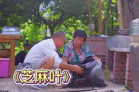 很多人做芝麻叶第一步都错了，正确的做法赶紧学起来吧