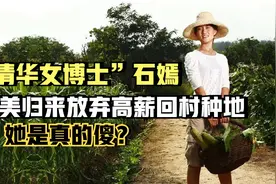 清华博士石嫣：留美归来放弃高薪回村种地轰动一时，她是真的傻？视频封面