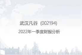 002194 武汉凡谷-2022年一季度财报分析.pptx视频封面