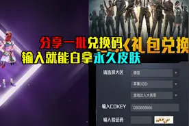 分享一批CDK兑换码！输入就能获取永久皮肤？