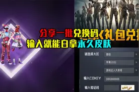 分享一批CDK兑换码！输入就能获取永久皮肤？