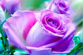 早晨纯音乐20首必听，目标不是都能到达的，但它能作为瞄准点