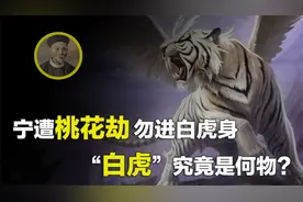 “白虎”究竟是何物？为何清朝首富告诫子孙，千万不要接近白虎？视频封面