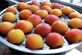 教你在家做杏干，酸酸甜甜易保存，家人都爱吃