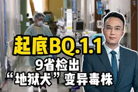 起底BQ1.1，9省检出“地狱犬”变异毒株视频封面
