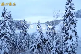 一曲清心音乐，养肝静心， 放松心情 ，静静的听，清除心中杂念视频封面