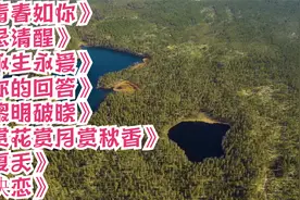 青春如你，永生永爱，你的回答，黎明破晓，赏花赏月赏秋香视频封面