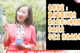 太原最严养狗令来了，还有不明白的“铲屎官”可以看这里！视频封面