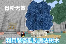 我的世界魔刀54：骨粉无法催熟的魔法树，使用装备进行成长加速！