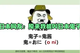 日本网友评论，中国人叫我们“日本鬼子”反应亮了！评论笑死了！视频封面