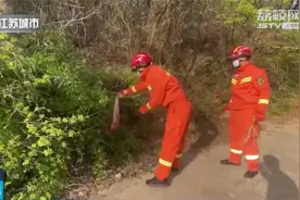 如果家里进蛇该咋办？这份家中“防蛇攻略”请收好！