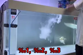 鱼缸下盐的计算公式：总水量×千分比=下盐量，一学就会