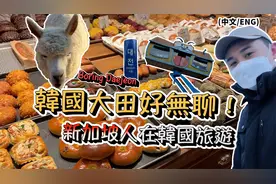 韩国大田好无聊？从首尔到大田只需一个钟头！韩国旅游的新加坡人