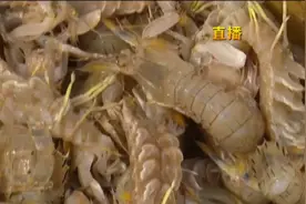 钾低患者不能吃海鲜，这是真的吗？