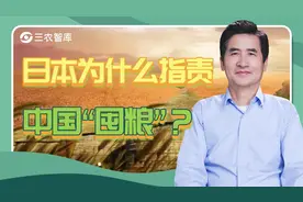 日本为什么指责中国“囤粮”？郑风田：居心不良