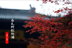 李娜一首《南无阿弥陀佛》，聆听天籁佛音，一方净土，空灵妙音！视频封面