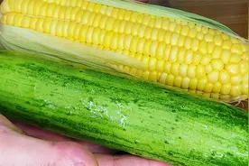 一根黄瓜，一个玉米，简单一做，我家一周吃5次，全家老少都喜欢