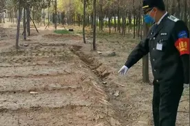 可恶！郑州有居民毁绿化树苗变自家菜地，破坏绿化面积近千平视频封面