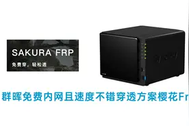 群晖没有公网IP的免费内网穿透方案，樱花Frp方案五分钟教会你