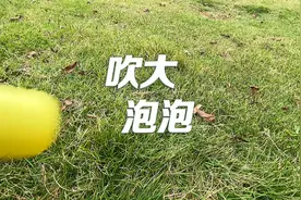 洗洁精里加白糖，就能吹出这么大的泡泡？视频封面