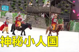 云南深山有一个小人国，这里生活着100多个身高不足1.3米的小矮人视频封面