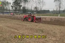 河南农村开始种小麦了，今年早种好还是晚种好？大家怎么看视频封面