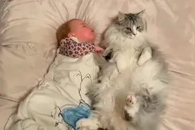 向来高冷的猫咪被小婴儿亲亲，表现一脸享受的样子，太可爱了！视频封面
