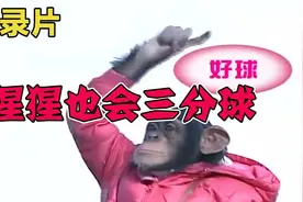 纪录片：聪明黑猩猩用水瓶投三分，却在跑步机上栽了！视频封面