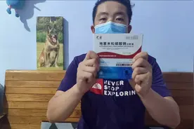 狗狗中毒了别怕，三种药帮你起死回生