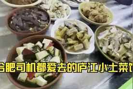 合肥庐江高速出口司机都爱去的万山镇土菜馆，人均40比大饭店美味视频封面