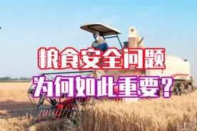 粮食安全问题究竟有多重要？连苏联当年也是因为粮食问题而被压垮视频封面