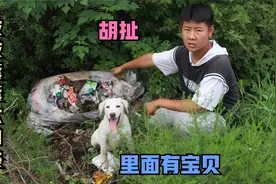 拉多在路边发现神秘口袋鼓鼓囊囊的，打开一看傻眼了，真有宝贝吗视频封面