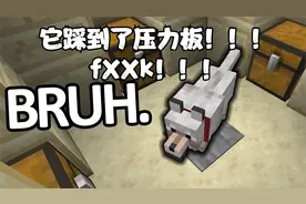 我的世界：那些搞笑倒霉瞬间