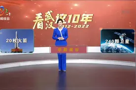 《看武汉·这十年——新洲区：走进城区看变化》数说区情视频封面