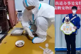 宠物隔离后获颁“荣誉证书” 负责人：缓解宠主焦虑 还能充当医嘱视频封面