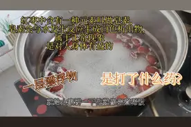 小青家红枣煮熟有白色漂浮物，网友怀疑是打蜡，这样红枣还能吃吗视频封面