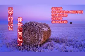 心情不好时，听这五首歌，无声的成长，伴你走向远方