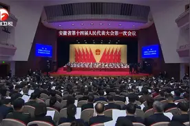 安徽省十四届人大一次会议举行第二次全体会议视频封面
