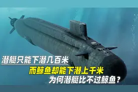 潜艇只能潜水几百米，而鲸鱼却能潜上千米，这是为什么？视频封面