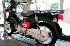 本田迷你小摩托，幼兽CC50，排量适中，高颜值易操控，代步神器视频封面