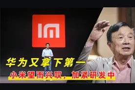 中国消费民企百强榜：华为总价值1.1万亿，小米4600亿屈居第5
