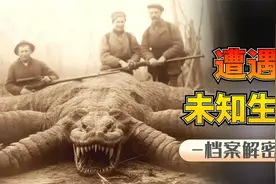 六大未知生物：牛头怪物被人膜拜，是地外生物还是乌龙事件？视频封面